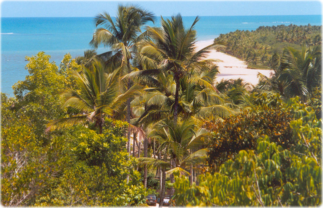 Praia Trancoso Bahia