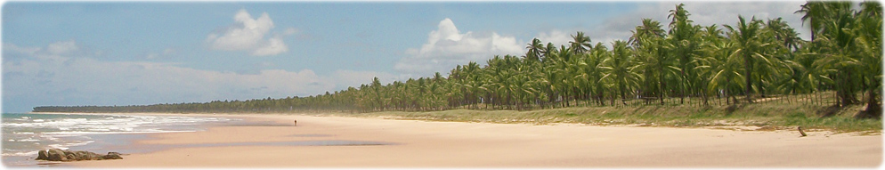 Coqueiros Praia