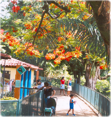 Zoo Salvador