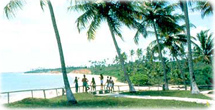 Cumuruxatiba Praia